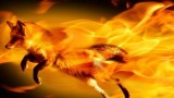download-songs-from-YouTube