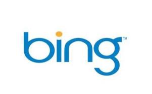 Exploring Features, Presentation and Search Performance of “Bing”